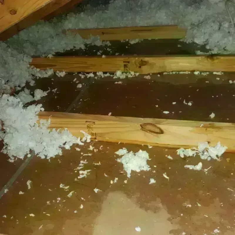 Attic Water Damage in Watertown, FL