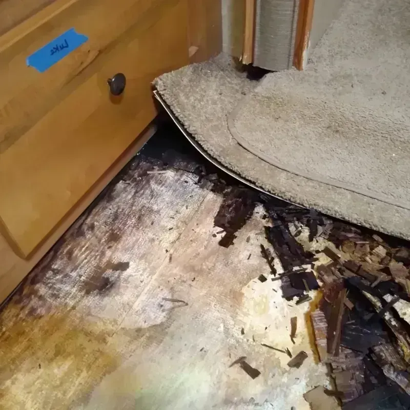 Wood Floor Water Damage in Watertown, FL